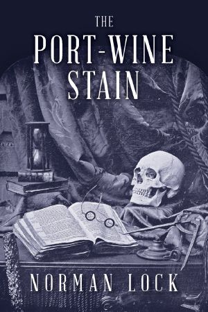 [American Novels 03] • The Port-Wine Stain